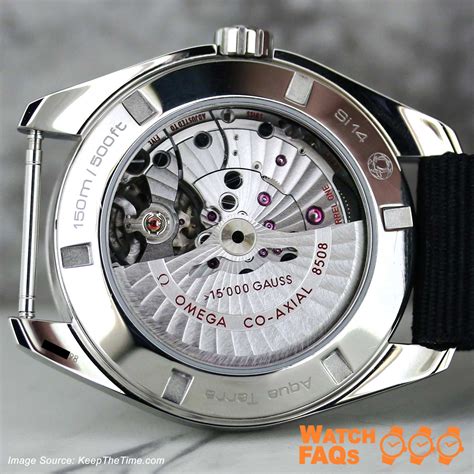 caseback
